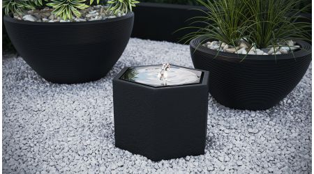 Gardenia S